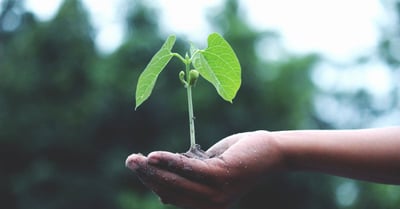 Highlights der Nachhaltigkeit: Die besten grünen Initiativen 2025