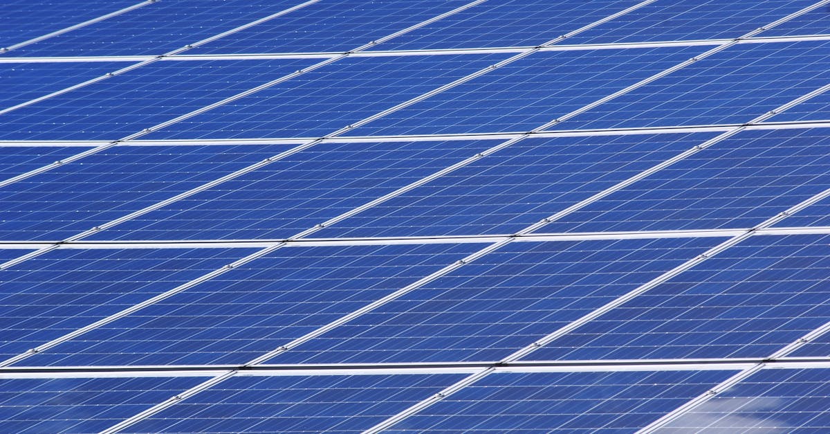 entdecken sie die bedeutung von nachhaltigkeit für unseren planeten. erfahren sie, wie wir umweltfreundliche praktiken in unserem alltag integrieren können und welche rolle unternehmen bei der förderung einer nachhaltigen zukunft spielen.