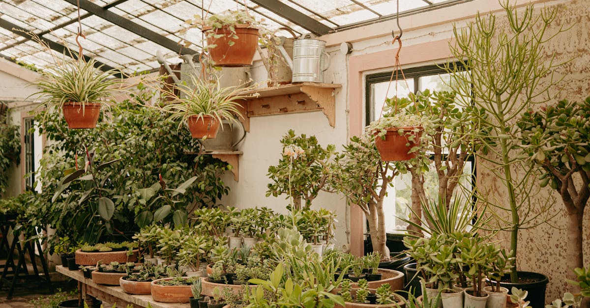 entdecken sie die welt des nachhaltigen gartenbaus! erfahren sie, wie sie umweltfreundliche techniken anwenden, um einen gesunden und blühenden garten zu schaffen, der im einklang mit der natur steht.