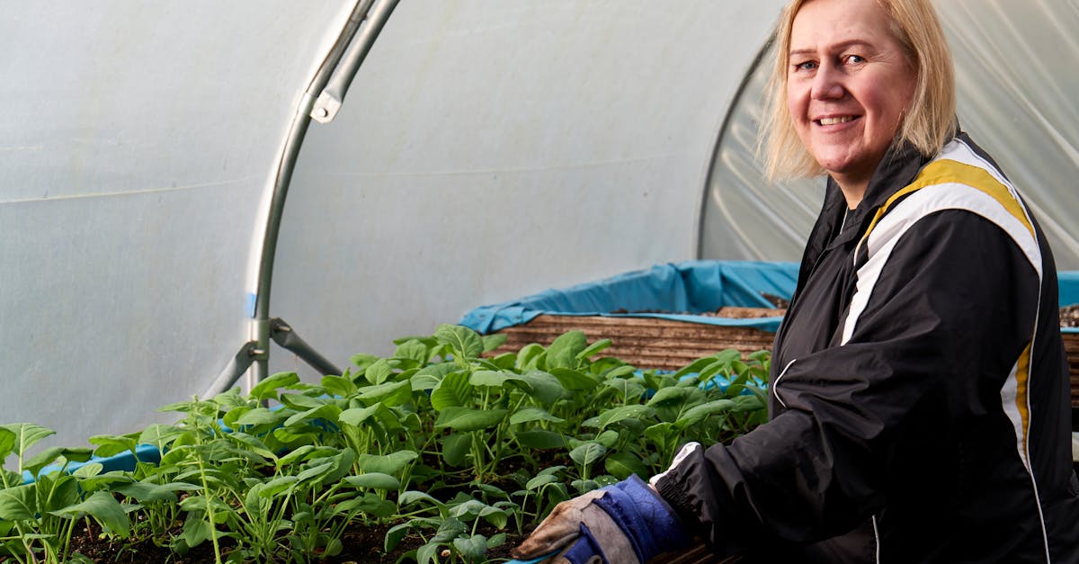 entdecken sie nachhaltige gartenpraktiken, die die umwelt schonen und gleichzeitig ihre pflanzen gedeihen lassen. erfahren sie, wie sie ihren garten ökologisch gestalten können.