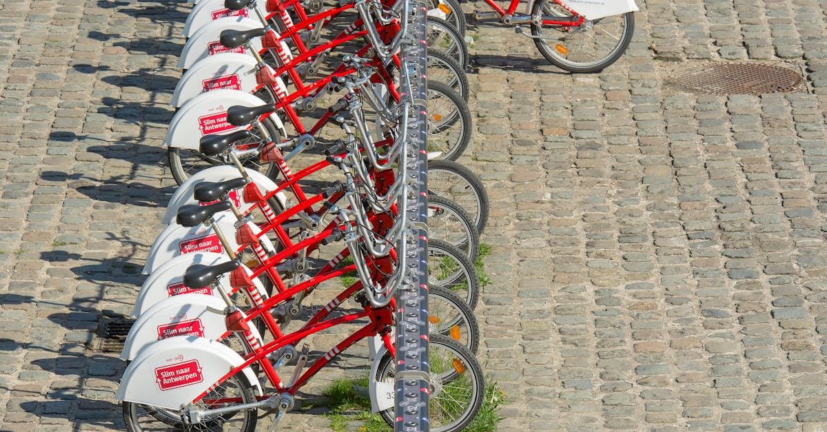 entdecken sie nachhaltige mobilität und erfahren sie, wie innovative verkehrslösungen die umwelt schützen und das urban leben bereichern. begleiten sie uns auf dem weg zu einer grüneren zukunft!