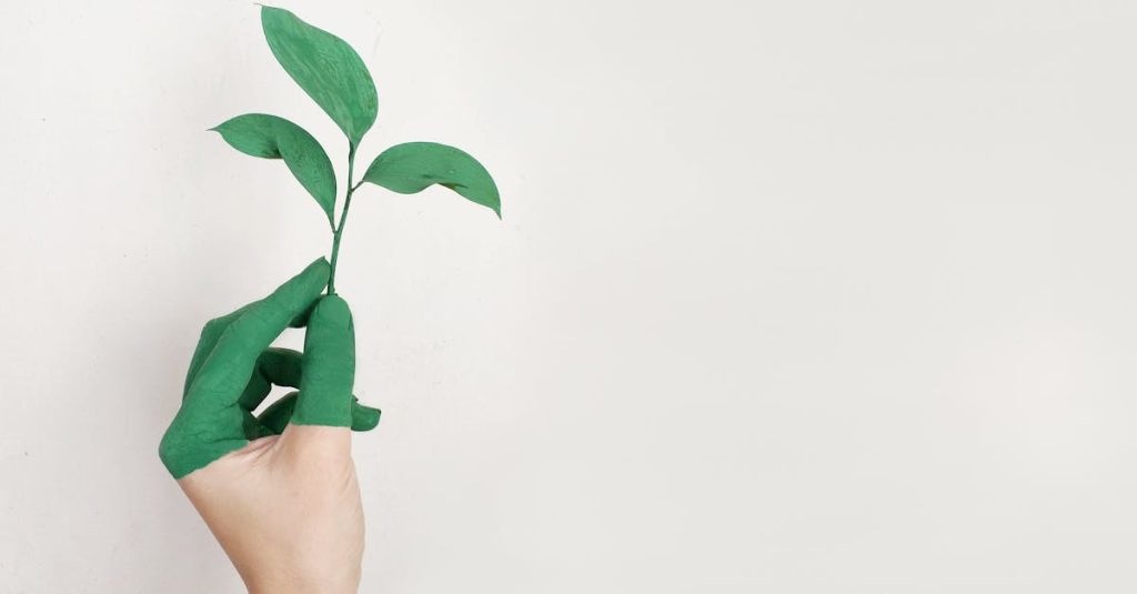 entdecken sie umweltfreundliche lösungen und nachhaltige produkte für ein grüneres leben. umweltschutz, innovation und verantwortung stehen im mittelpunkt unseres angebots.