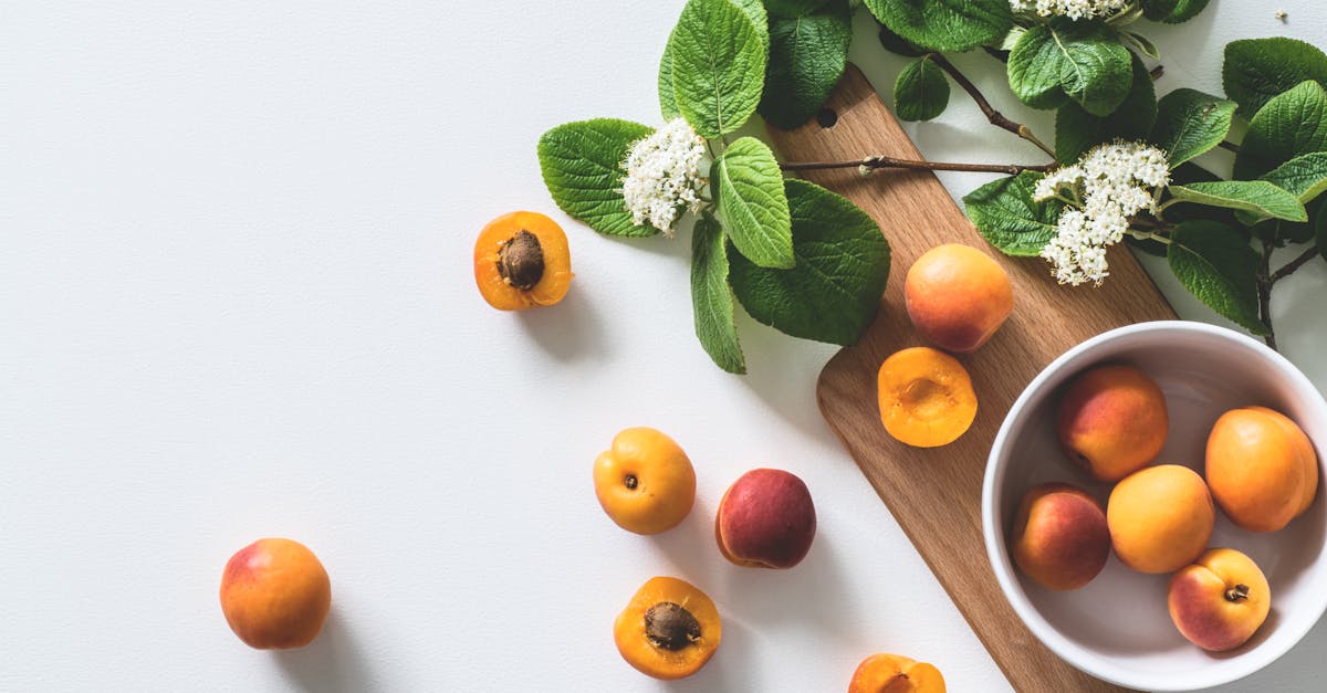 entdecken sie gesunde lebensstile, ernährungstipps und fitnessstrategien für ein besseres wohlbefinden. optimieren sie ihre gesundheit mit unseren informativen artikeln und ratschlägen.