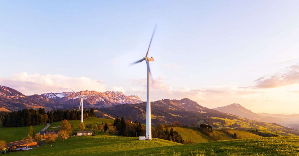 entdecken sie nachhaltige lösungen, die einen positiven einfluss auf die umwelt haben. erfahren sie, wie sie ihren lebensstil umweltfreundlicher gestalten können.
