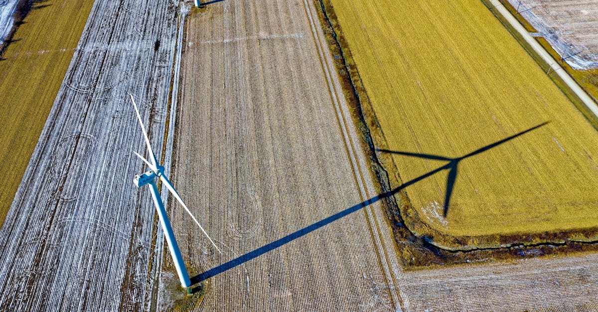 entdecken sie die bedeutung und die vorteile von nachhaltigkeit in einer modernen welt. erfahren sie, wie nachhaltige praktiken unseren planeten schützen und eine bessere zukunft für kommende generationen schaffen können.