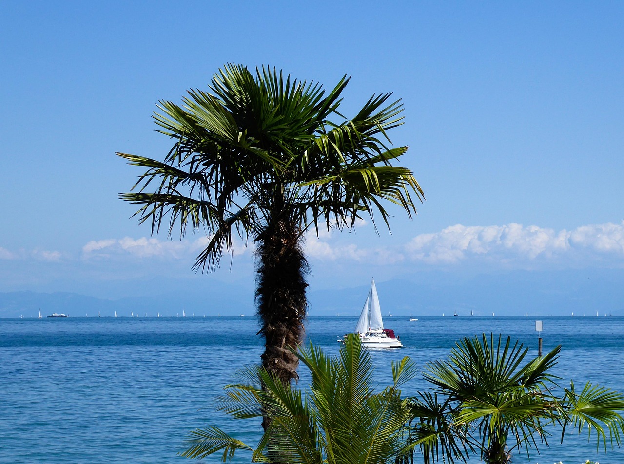 erfahren sie alles über die schulferien: termine, dauer und wichtige informationen für schüler und eltern in deutschland.